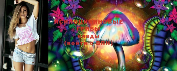 ГАЛЛЮЦИНОГЕННЫЕ ГРИБЫ Заволжск