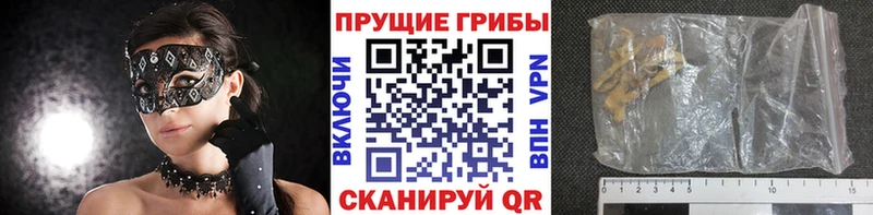 Купить  Ковылкино  Псилоцибиновые грибы GOLDEN TEACHER 